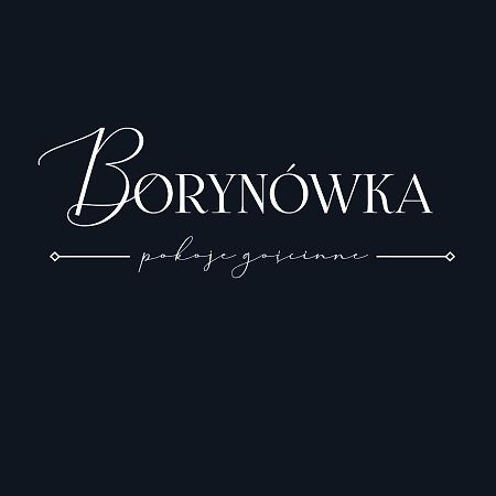 Willa Borynowka Kazimierz Dolny Buitenkant foto