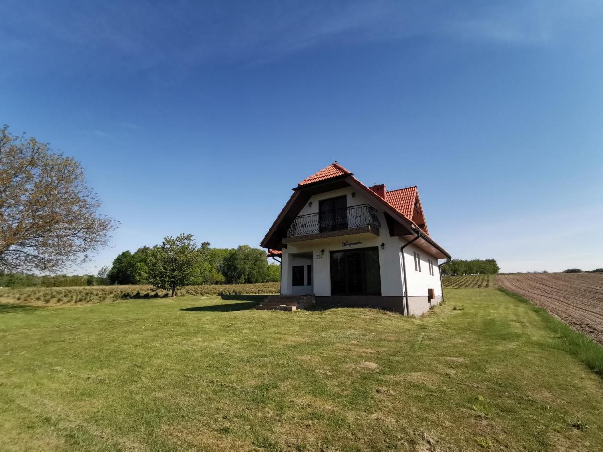 Willa Borynowka Kazimierz Dolny Buitenkant foto
