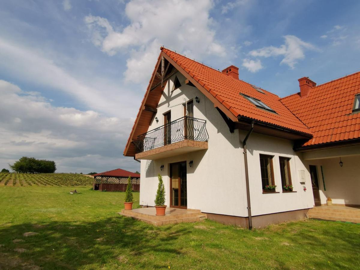 Willa Borynowka Kazimierz Dolny Buitenkant foto