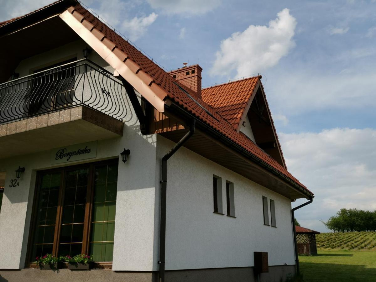 Willa Borynowka Kazimierz Dolny Buitenkant foto