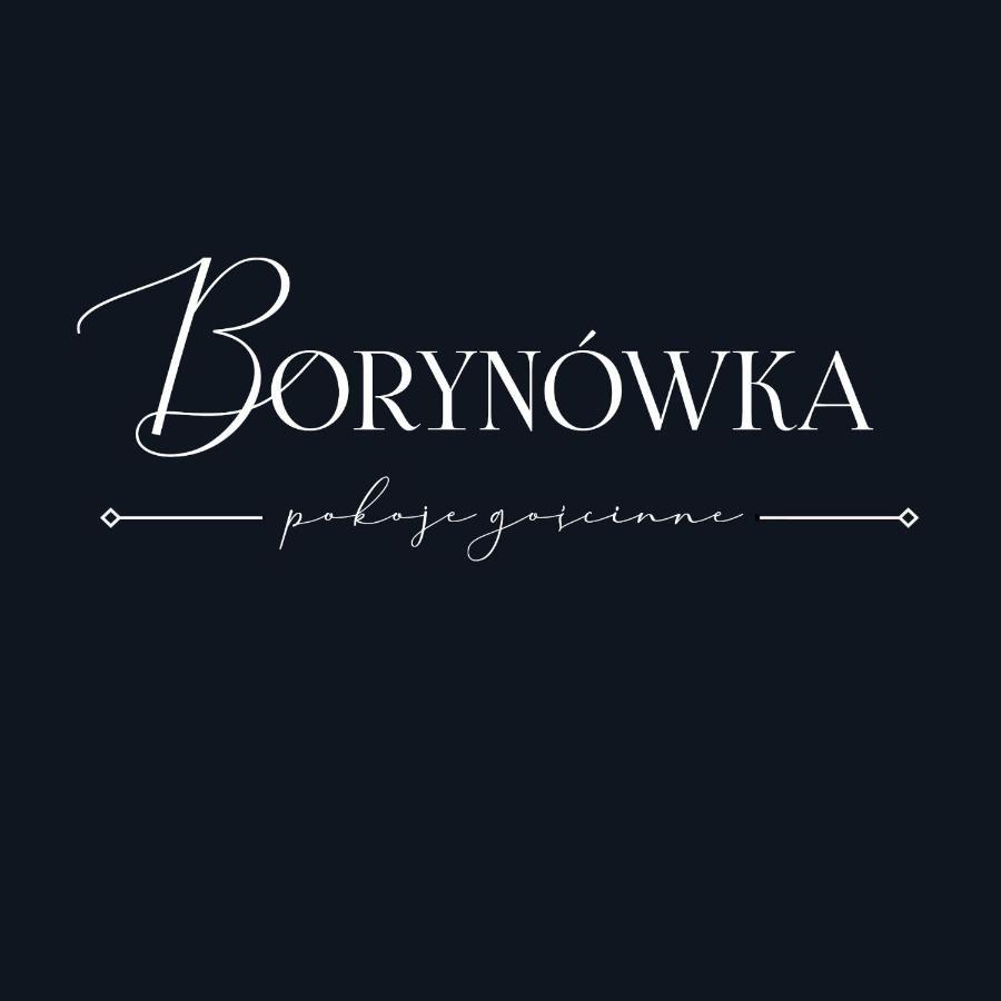 Willa Borynowka Kazimierz Dolny Buitenkant foto